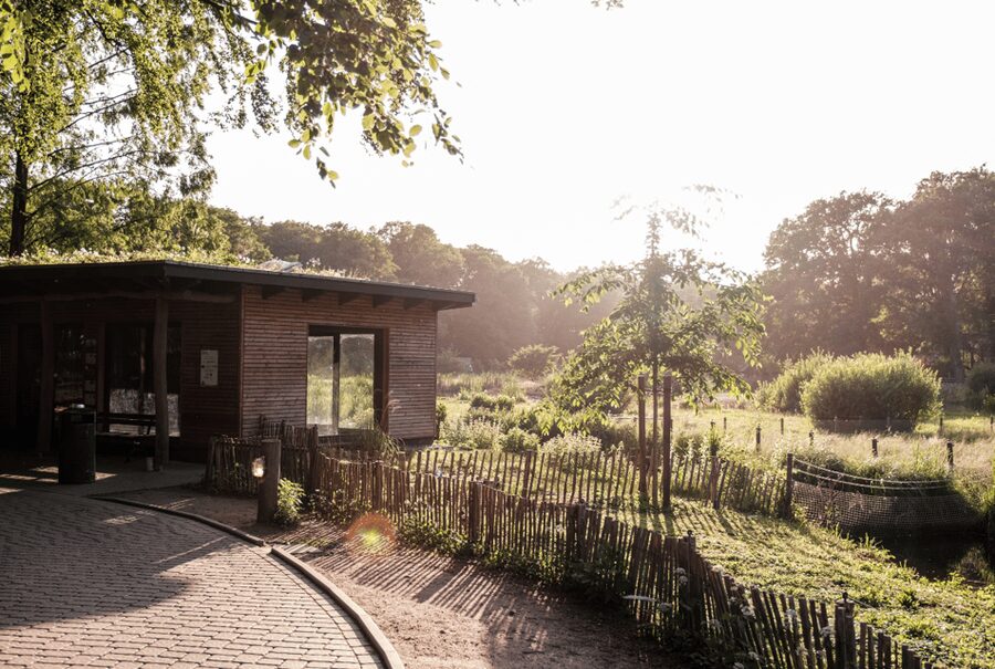 1-day ticket for Schwerin Zoo - Starting at the Red List Center