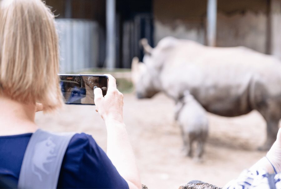 1-day ticket for Schwerin Zoo - The festival meadow and free-roaming prairie dogs