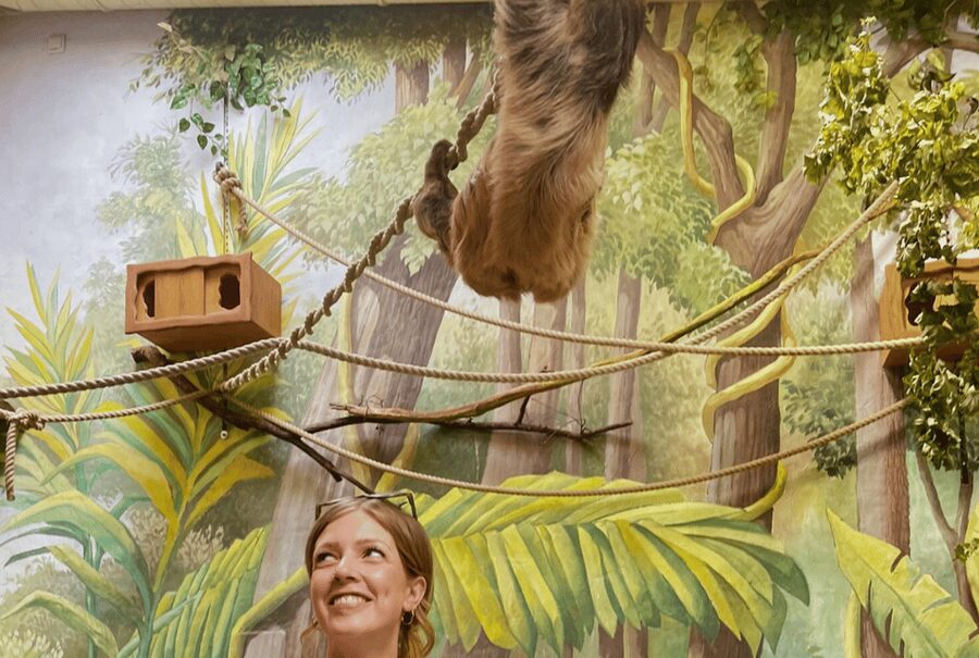 1-day ticket for Schwerin Zoo - Visiting with children and dogs