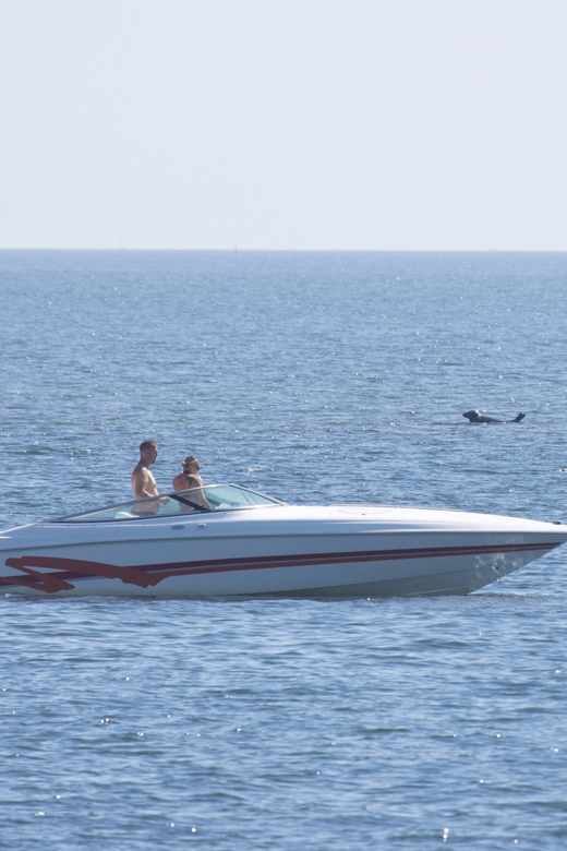 Baabe on Rügen: Seal-Spotting Cruise in the Baltic - Setting out from Baabe on the MS Kleine Freiheit