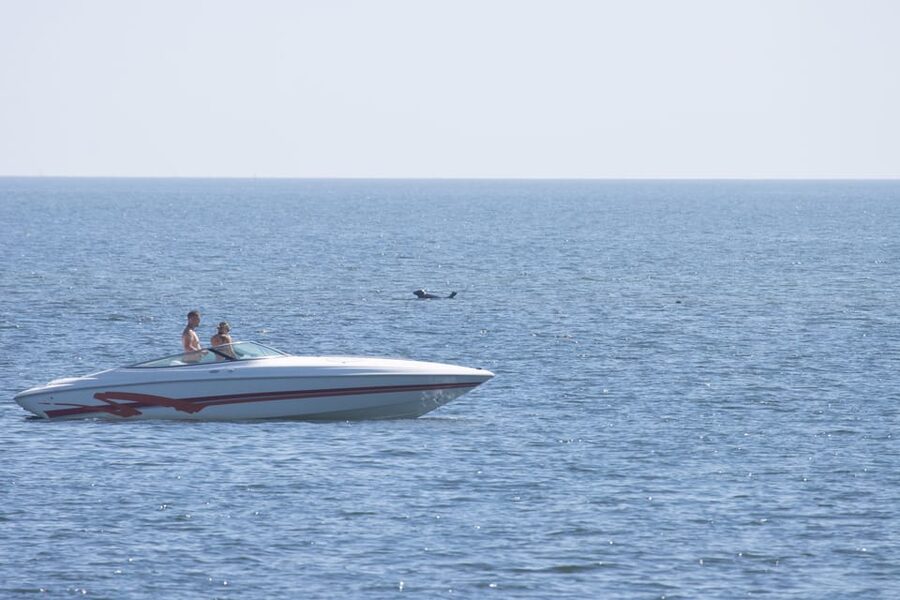 Baabe on Rügen: Seal-Spotting Cruise in the Baltic - Who will enjoy this cruise most?