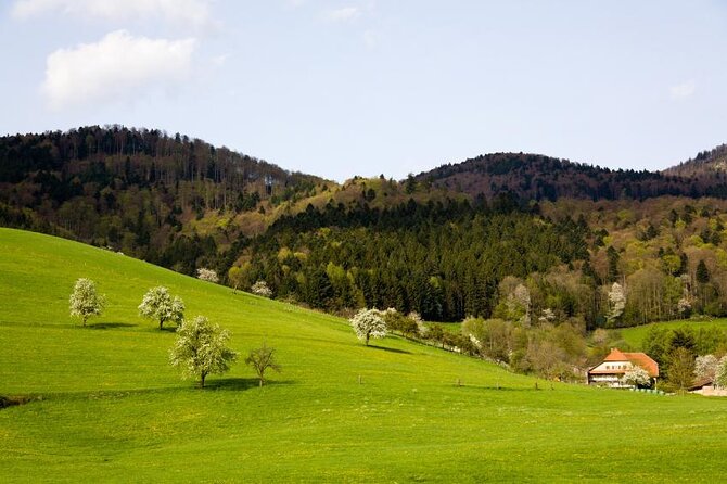 Baden-Baden, Black Forest and Strasbourg Day Trip from Frankfurt - Key things to know before booking
