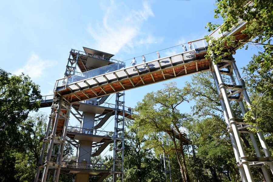 Beelitz-Heilstätten: Baum&Zeit Tree Top Walk Entry Ticket - The Alpenhaus ruins and the forest above them