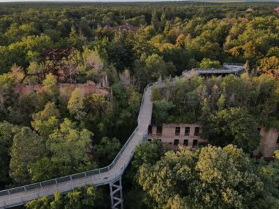 Beelitz-Heilstätten: Baum&Zeit Tree Top Walk Entry Ticket