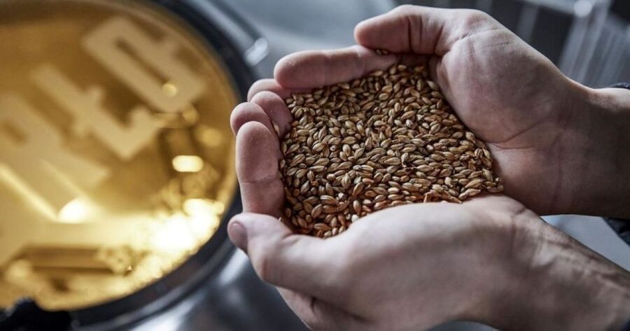 Berlin: BRLO BRWHOUSE Tour and Craft Beer Tasting - Who should book this experience