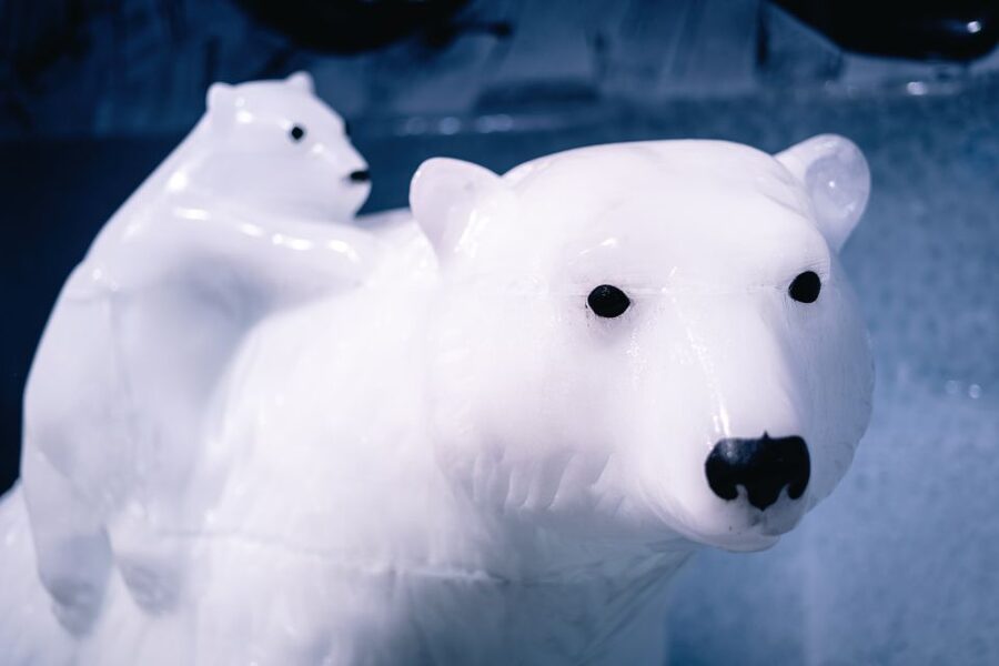 Berlin: Icebar Entrance with Complimentary Drinks - How long you really spend in the cold