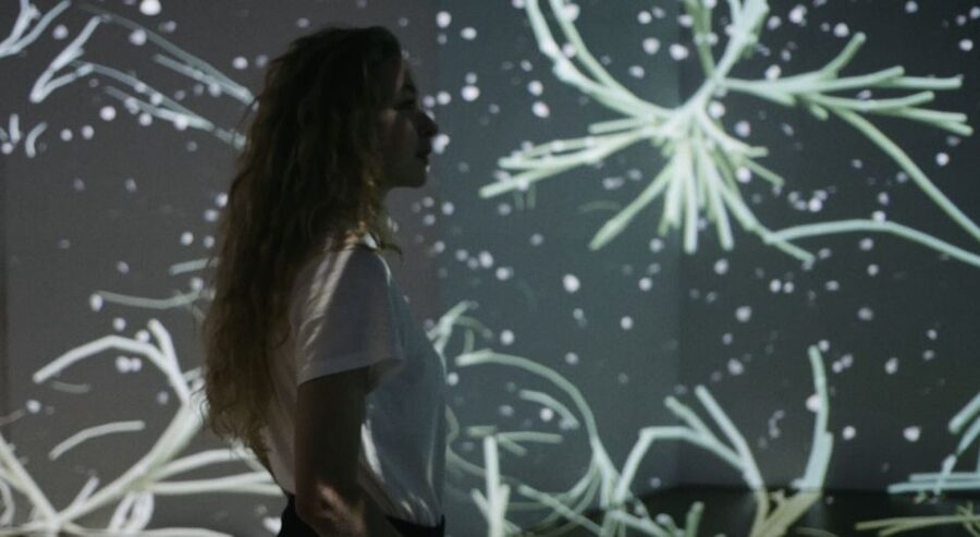 Berlin: Lighthouse of Digital Art Ticket - Who will enjoy this most?
