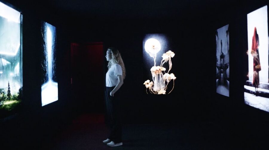 Berlin: Lighthouse of Digital Art Ticket - The mood: calming, strange, and a little unreal