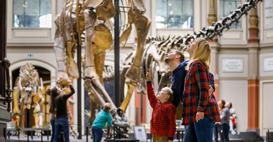 Berlin: Natural History Museum Entrance Ticket - Key points to know before you go