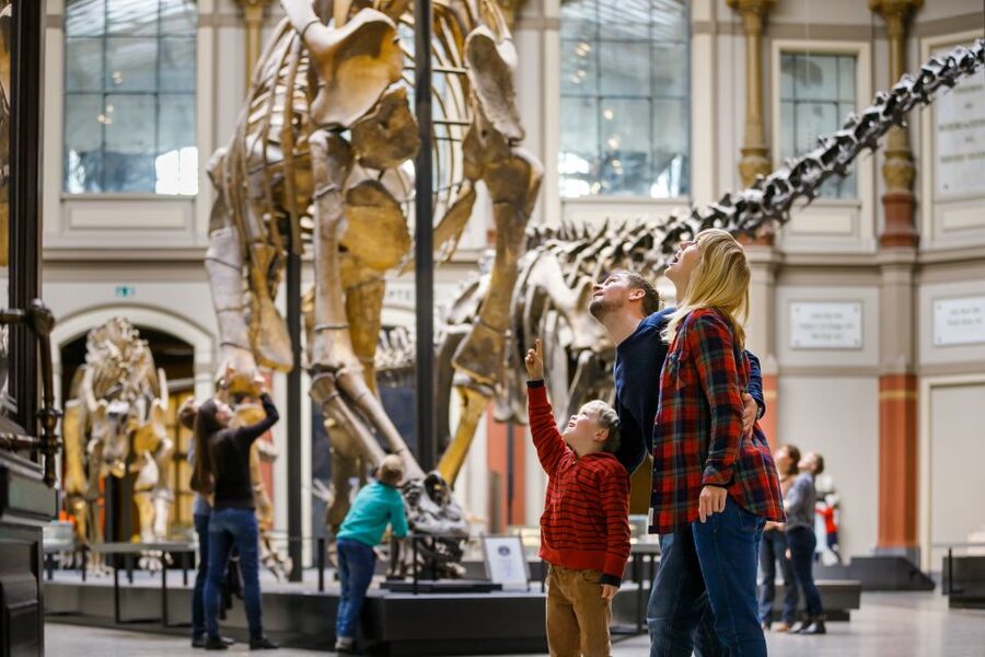 Berlin: Natural History Museum Entrance Ticket - Berlin’s dinosaur hall delivers the first big moment