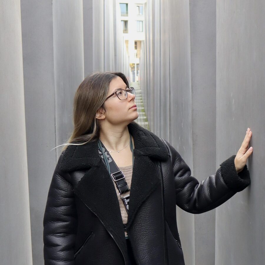 Berlin: Third Reich and Cold War 2 Hour Walking Tour - Brandenburg Gate and the Reichstag: power in plain sight