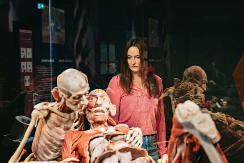 Berlin: Tickets for the BODY WORLDS Museum in Berlin - Is the $22 ticket good value?