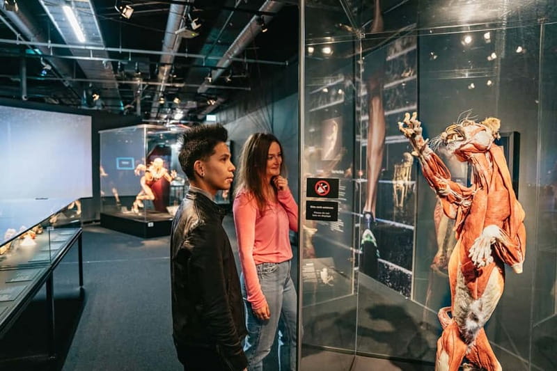 Berlin: Tickets for the BODY WORLDS Museum in Berlin - Pregnancy and the development of an embryo
