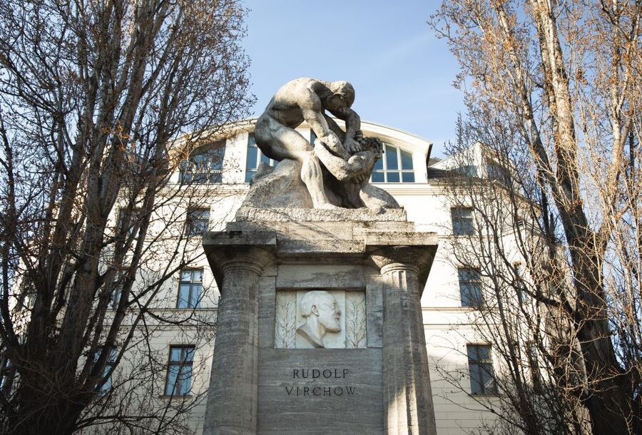 Berlin: walking tour about Charité - What the German-language format means for you