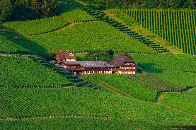 Black Forest. From Baden-Baden to Strasbourg. Two countries in one day - Baden-Baden Casino and the spa-town opening