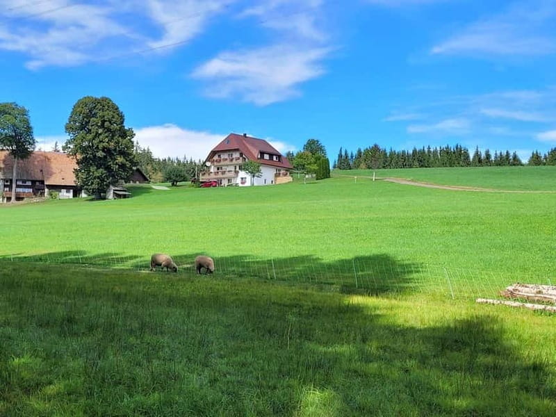 Black Forest: Ravenna Gorge Hike, Self-Guided - Key points to know before you go
