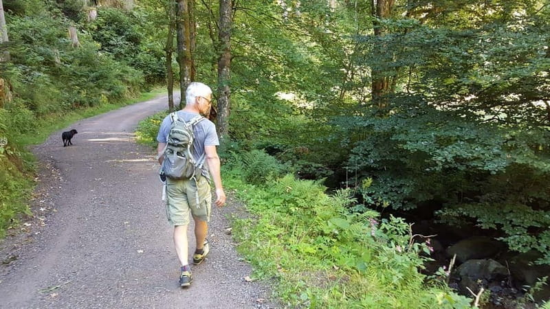 Black Forest: Ravenna Gorge Hike, Self-Guided - Following the 8-kilometer route into Ravenna Gorge