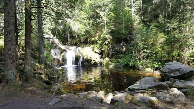 Black Forest: Ravenna Gorge Hike, Self-Guided - Waterfalls, mills, and the working Black Forest