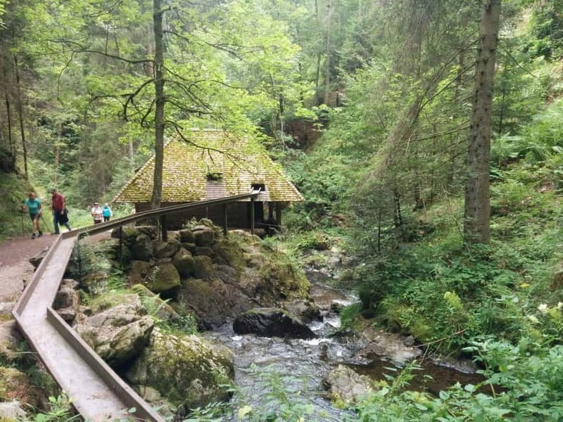 Black Forest: Ravenna Gorge Hike, Self-Guided - Timing the walk and planning your return