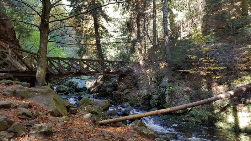 Black Forest: Ravenna Gorge Hike, Self-Guided - Starting at Hinterzarten station
