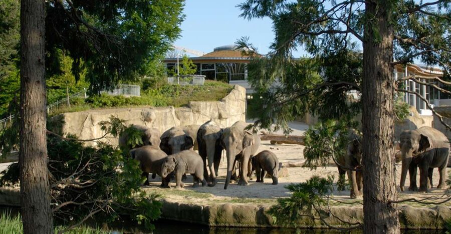 Cologne: Cologne Zoo and Aquarium Entry Ticket - Key points to know before you go
