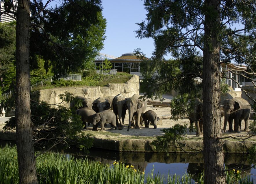 Cologne: Cologne Zoo and Aquarium Entry Ticket - Why Cologne Zoo works so well for a full family day