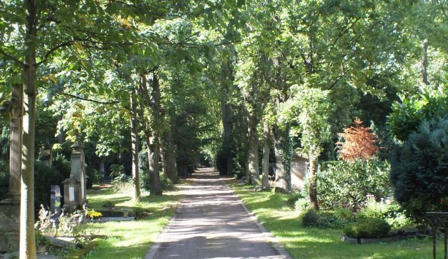 Cologne: Melaten Cemetery Life, Love and Death Tour - Is $16 a good price for two hours?