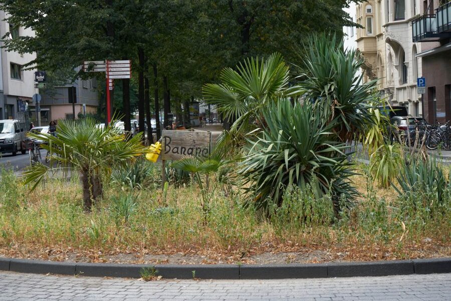 Cologne: Südstadt Guided Foodie Walking Tour - How Much Walking and Sitting to Expect