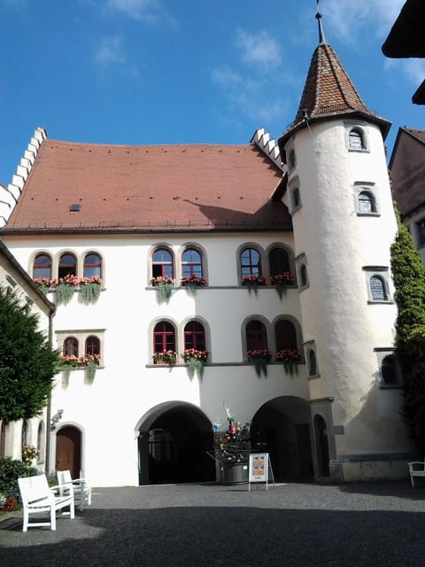 Constance: Public city tour with wine tasting - Konstanz Port and Stadtgarten
