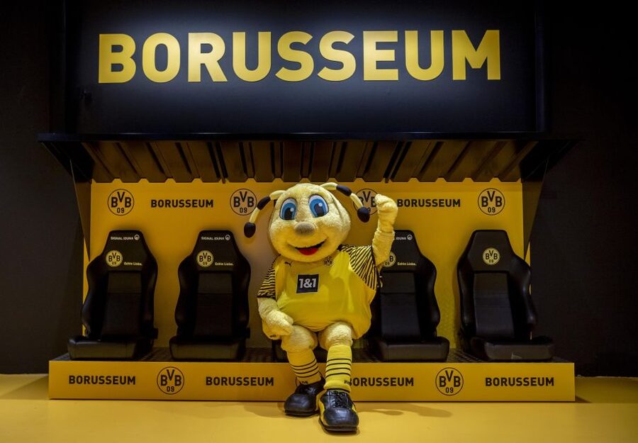 Dortmund: Borusseum Borussia Dortmund Museum Entry Ticket - Key points at BORUSSEUM