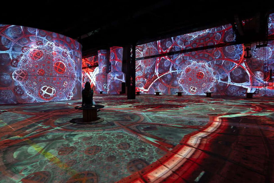 Dortmund: Phoenix des Lumières Ticket – Monet - Who will enjoy Phoenix des Lumières most?