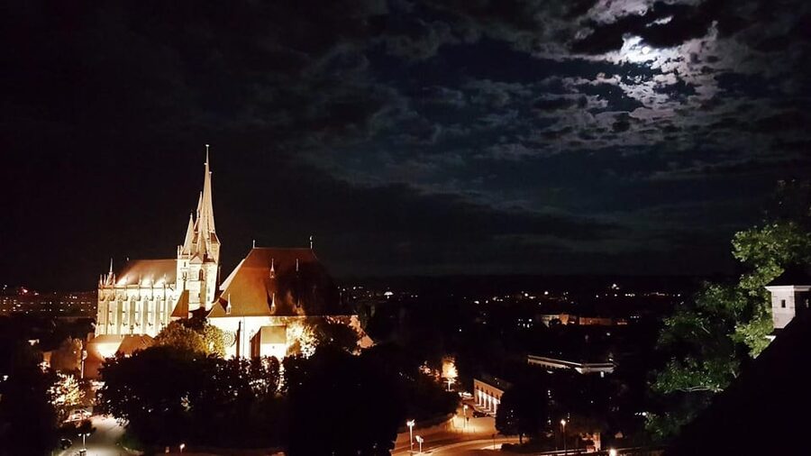 Erfurt: With Night Watchman Schwalbe through the Old Town, including tasting - Who should book this Erfurt night walk?