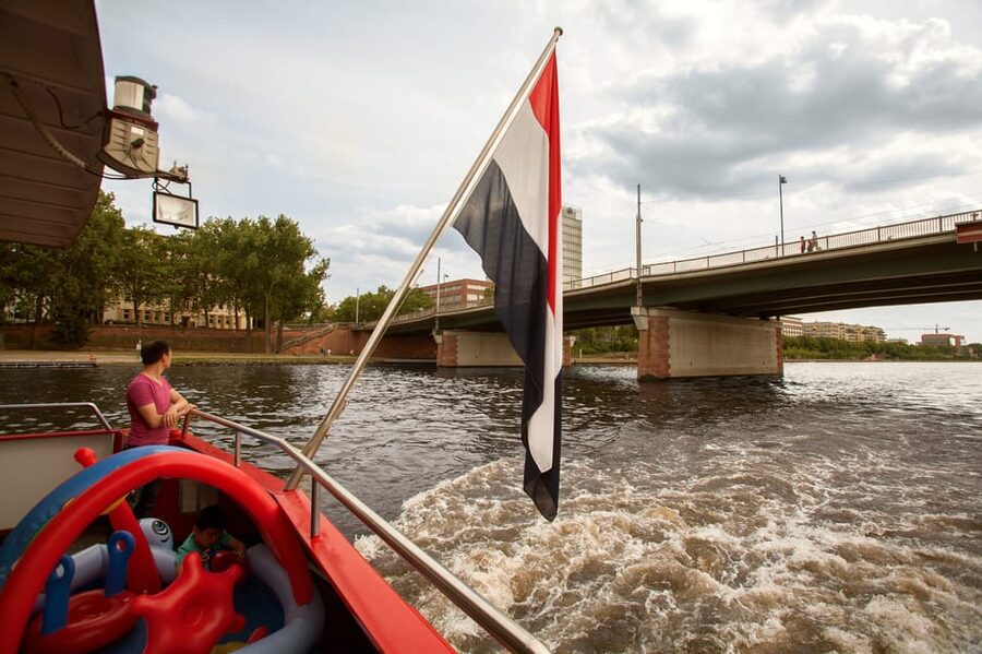 Frankfurt: 1-Hour Panorama Boat Cruise on the river Main - Who should book this cruise?