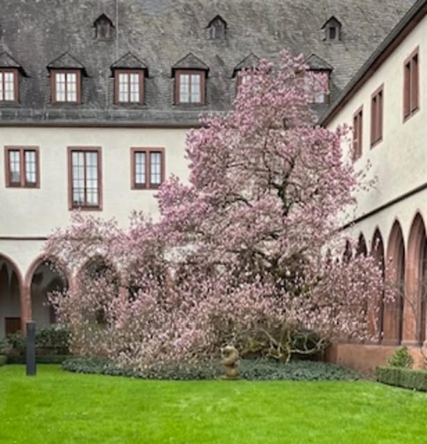 Frankfurt on Foot Daily Walking Tour in English - Who should book Frankfurt on Foot