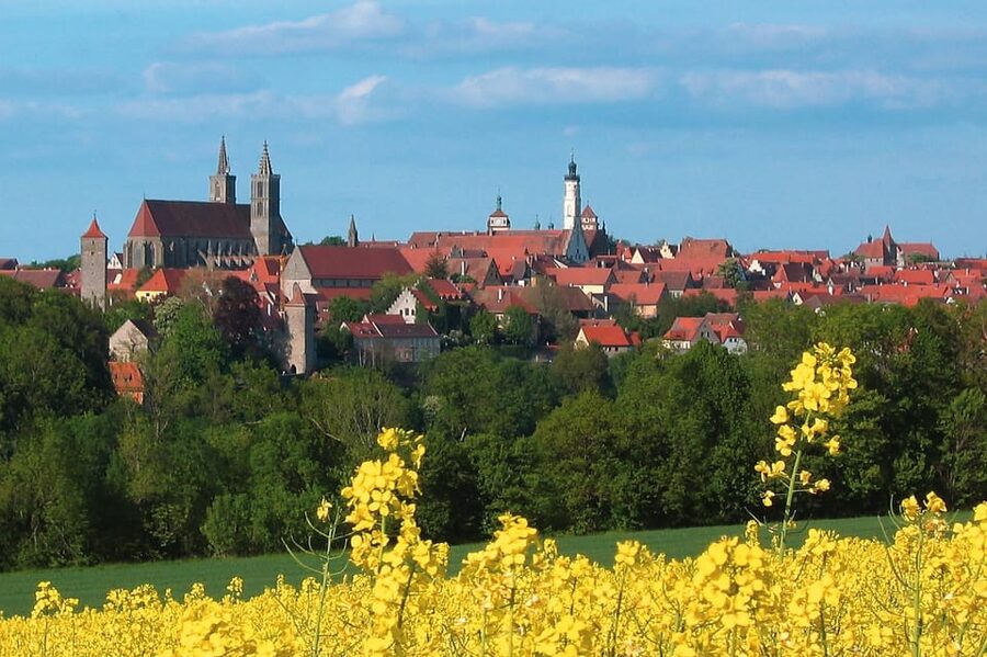 Frankfurt: Romantic Road & Rothenburg ob der Tauber Tour - Würzburg Residence, a short final look