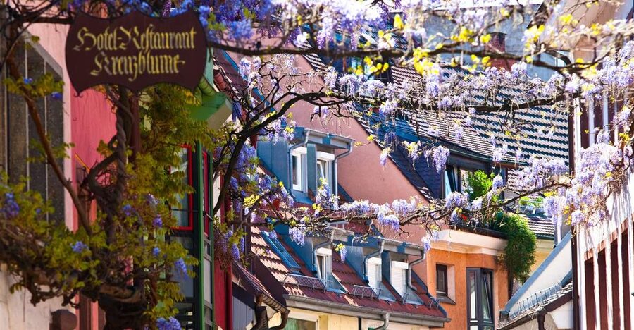 Freiburg: Gässle, Bächle and More City Tour - Key points to know before you book