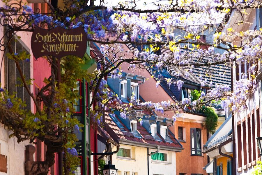 Freiburg: Gässle, Bächle and More City Tour - Why Freiburg’s Bächle and Gässle are worth an hour and a half