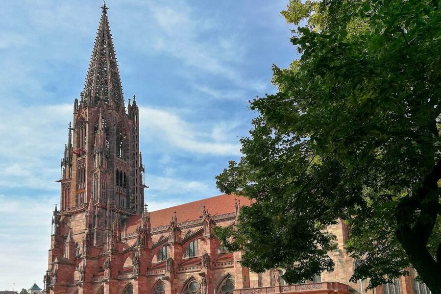 Freiburg: Gässle, Bächle and More City Tour - Altes Kaufhaus and the old town’s public face