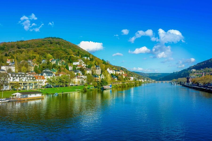 From Frankfurt: Rhine Valley Day Trip - Lunch at an eccentric riverside restaurant