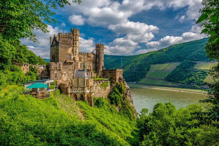 From Frankfurt: Rhine Valley Day Trip - Who will enjoy this day most