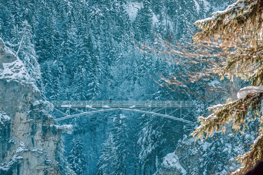 From Hohenschwangau: Tour to Neuschwanstein Castle - Inside Neuschwanstein for one hour