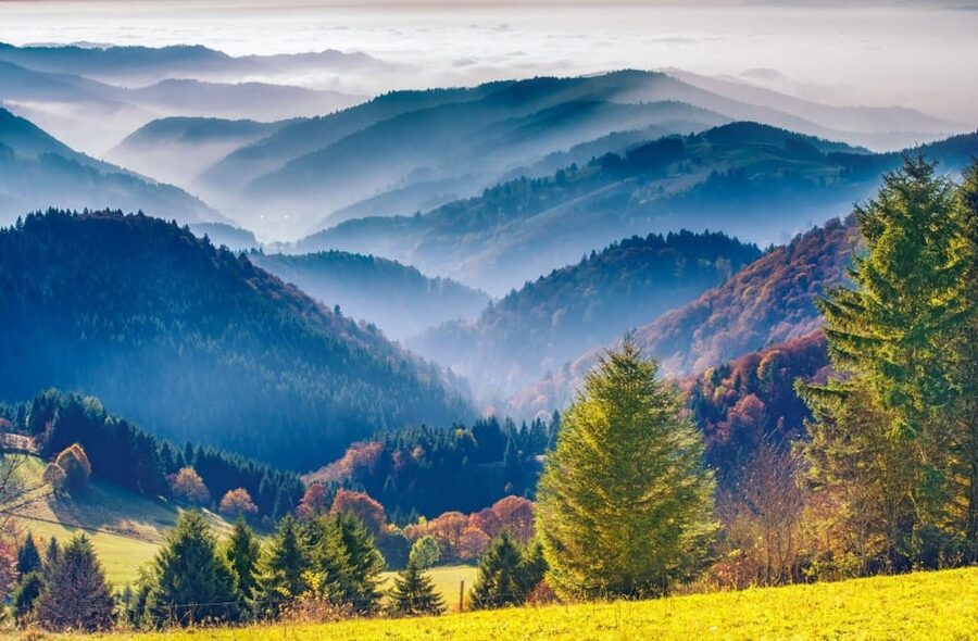 From Strasbourg: Black Forest and Baden Baden Day Trip - Should you book it?