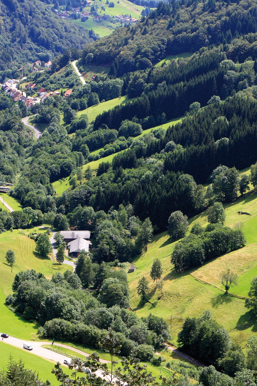 From Strasbourg: Black Forest and Baden Baden Day Trip - Mummelsee, local food, and 90 minutes at altitude