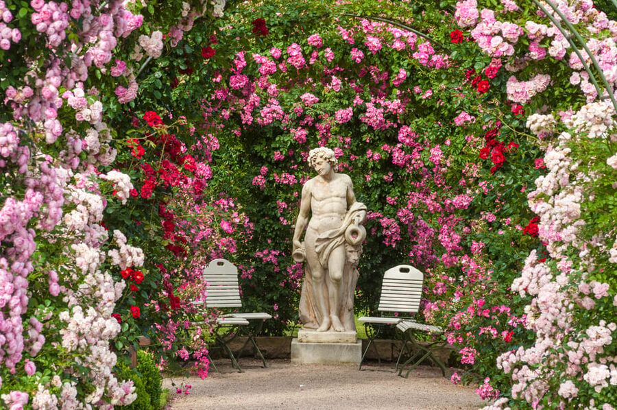 From Strasbourg: Black Forest and Baden Baden Day Trip - What the $253 price really buys you