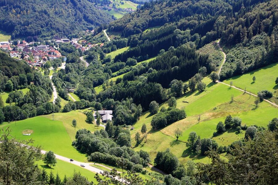From Strasbourg: Black Forest and Baden Baden Day Trip - Who should book this day trip?