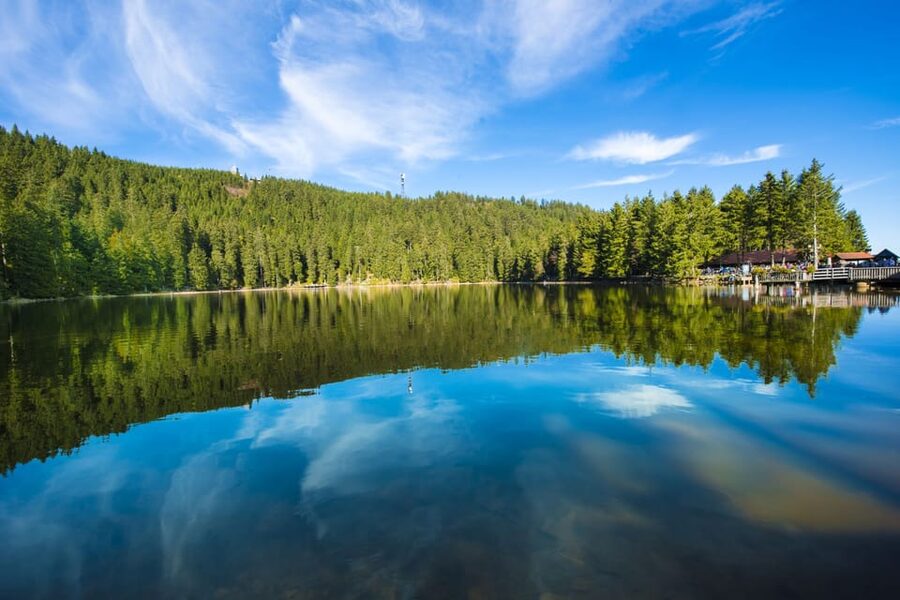 From Strasbourg: Black Forest and Baden Baden Day Trip - The Black Forest High Road and its open views