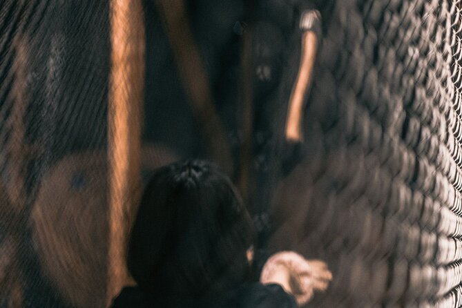Guided Axe Throwing Experience in Frankfurt Altstadt - What the $29.02 price delivers