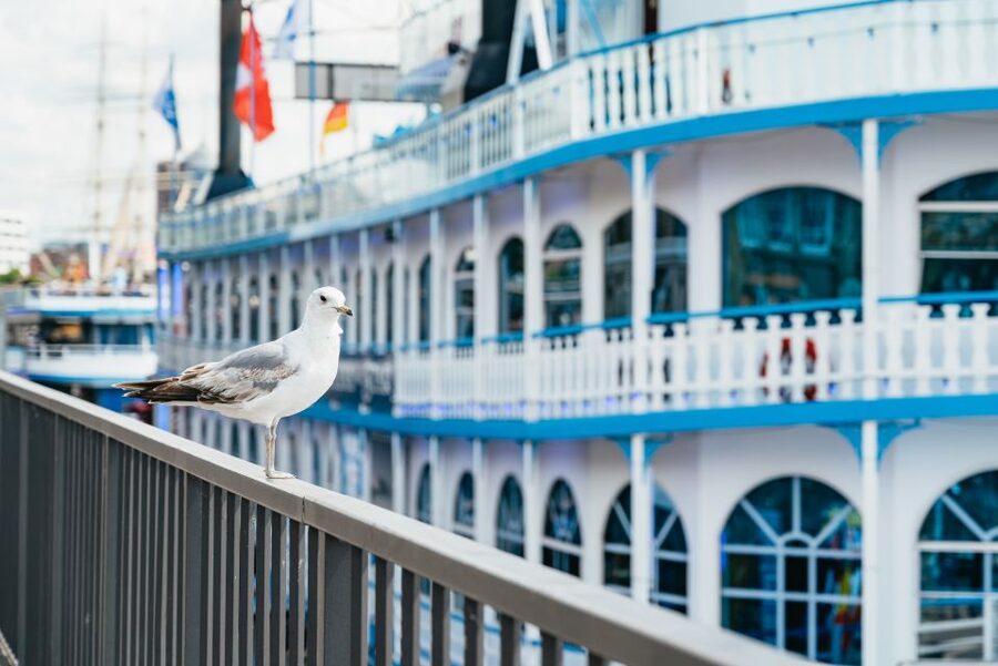 Hamburg: 1-Hour Harbor Sightseeing Cruise with HafenCity - St. Pauli Piers and the Elbe opening