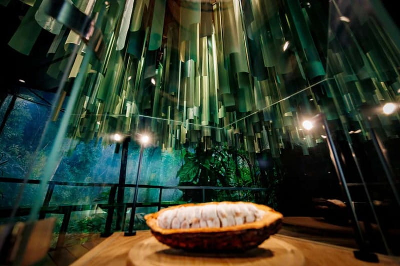 Hamburg: Chocoversum Guided Tour with Tastings - Making your own bar is more than a souvenir