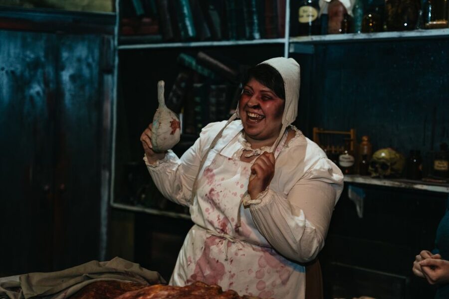 Hamburg: Hamburg Dungeon Admission Ticket - Who should book this experience